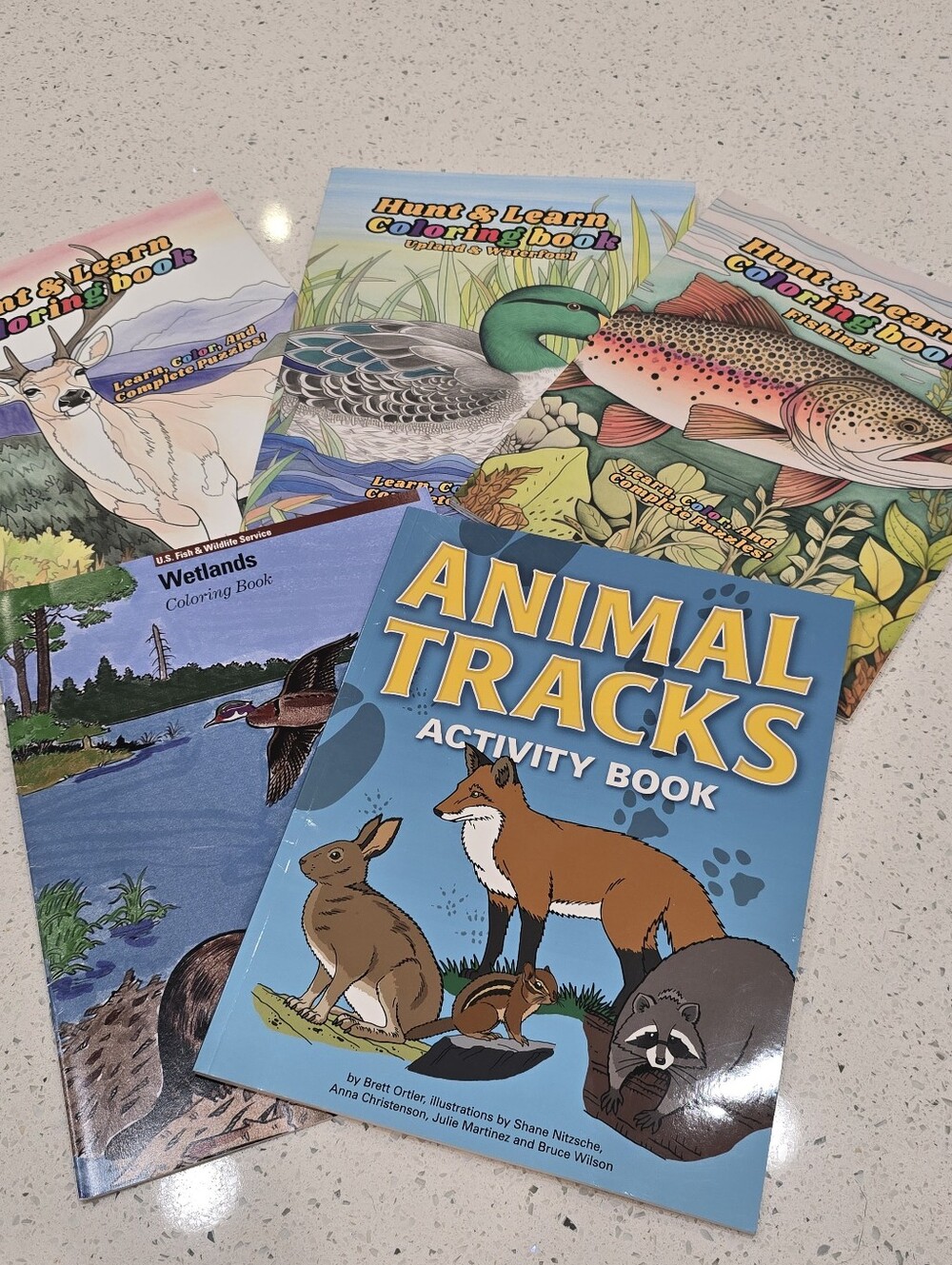 Hunt & Learn Coloring Book Collection